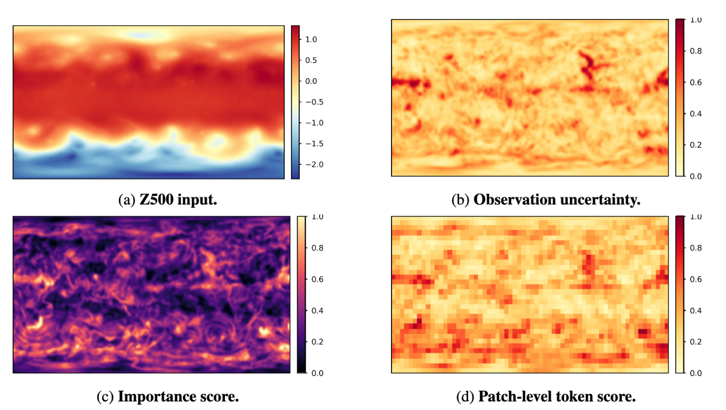 1.40625 degree case study: Z500 input, observation uncertainty, importance score, and patch-level token score